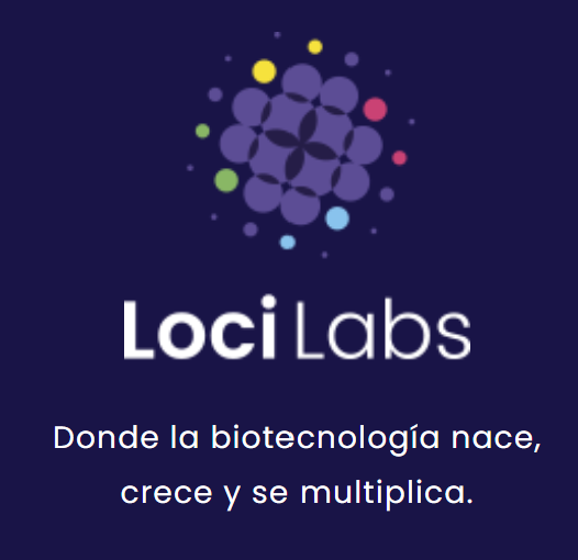 Loci Labs